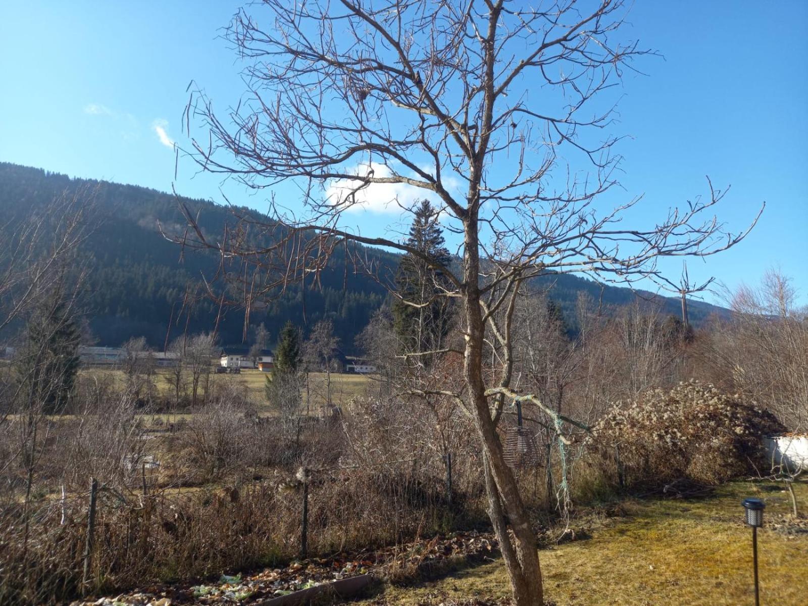 Alie Gusta Apartment Hermagor-Pressegger See Bagian luar foto