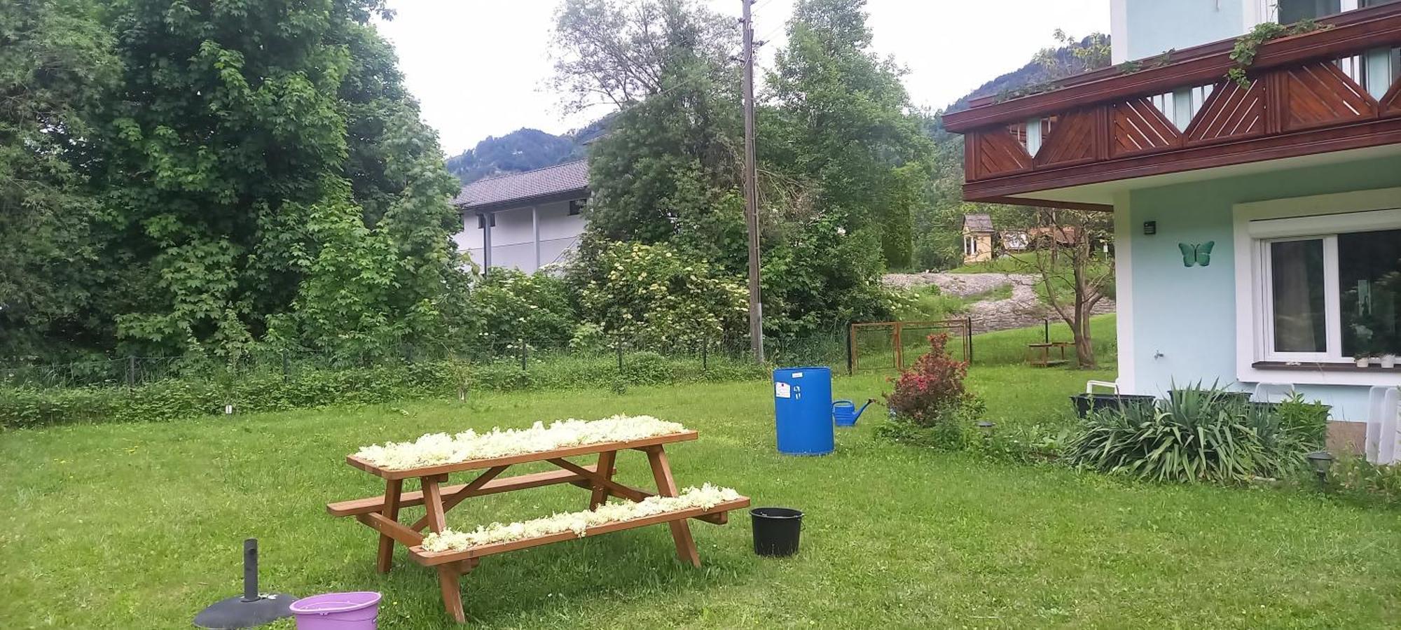Alie Gusta Apartment Hermagor-Pressegger See Bagian luar foto